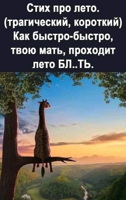 Пока что август ощущается, как середина сентября, так же пасмурно, сыро и прохладно..