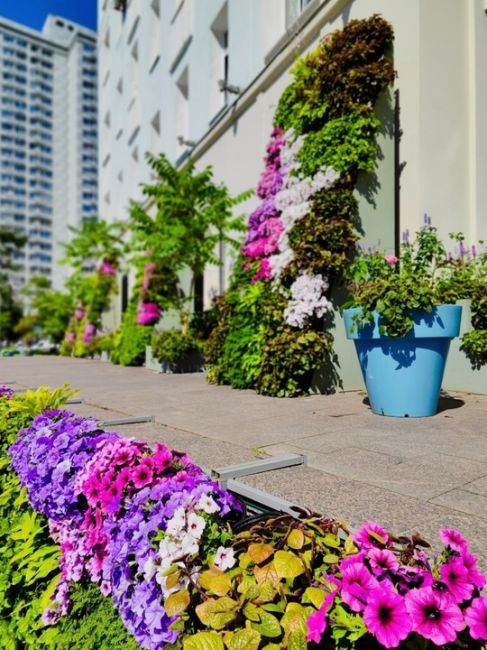 Цветочные композиции на Новом Арбате 🌸  Фото: Елена..