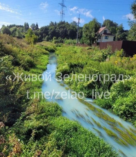 😱Недавно жители Химок заметили, что вода в реке Горетовка на Сходне стала странного цвета. Они..