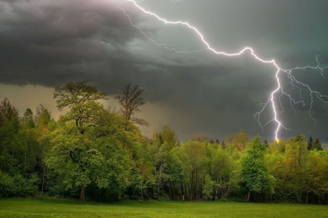 ⛈ Грозовые дожди накроют в ближайшие часы Подмосковье. 
МЧС Подмосковья предупреждает об ухудшении..