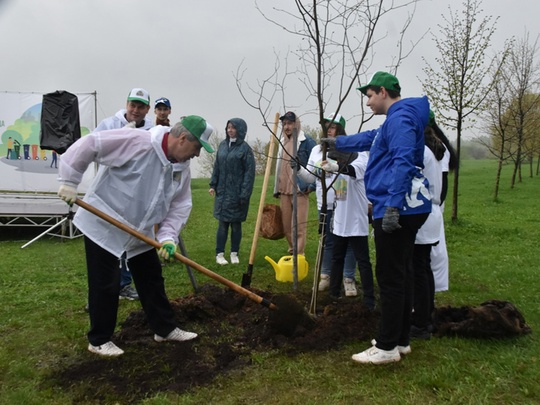 🌳🌿🌳 Коломна вошла в топ-3 городских округов по количеству посаженных деревьев  В Подмосковье с начала..