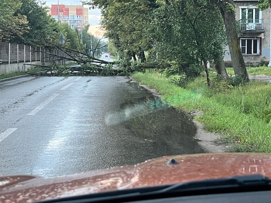 Администрация не хочет следить за городом, от слова совсем…🤦🏽‍♀️улица Расковой, возле ветеринарной..