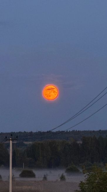 Вот такая луна бы прошедшим вечером в Подмосковье 🌝 😻  А сегодня будет..