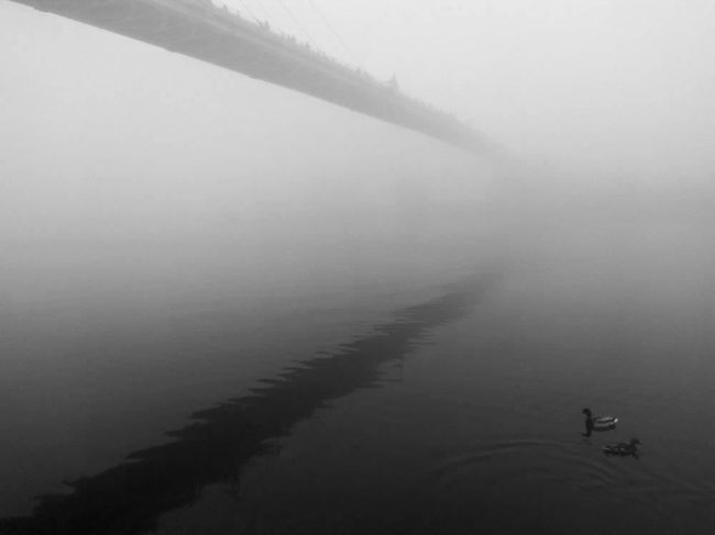 "Красногорск, Павшинская Пойма.
Бывает так: проснулся, глянул в окно, а там... ничего нет.
Вообще ничего - ни..