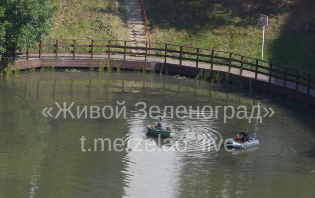 🛶На первом снимке вы видите огромное количество водорослей в Быковом болоте. Это результат работы..