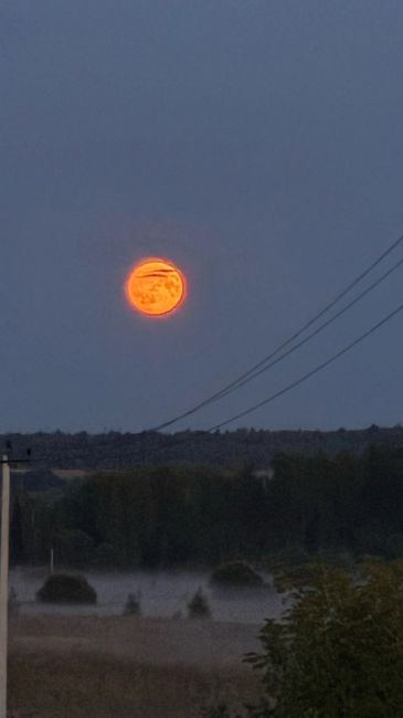 Вот такая луна бы прошедшим вечером в Подмосковье 🌝 😻  А сегодня будет..