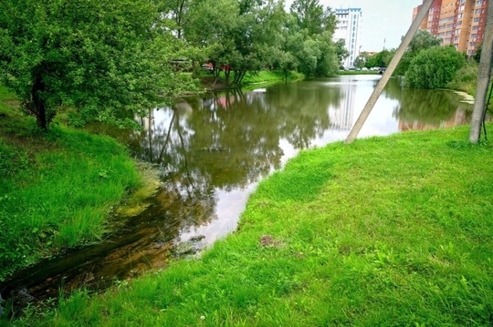 Сотрудники МУП «Водоканал» залили в пруд на Северном несколько тысяч кубов чистой воды, чтобы обновить..