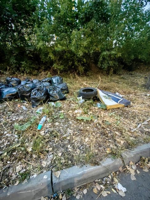 На Вокзальной 6 груды мусора у парковки..