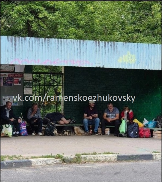 На остановке у Детской поликлиники улица Дзержинского обитают бомжи (уже давно) - грязь, вонь, мат, распитие..