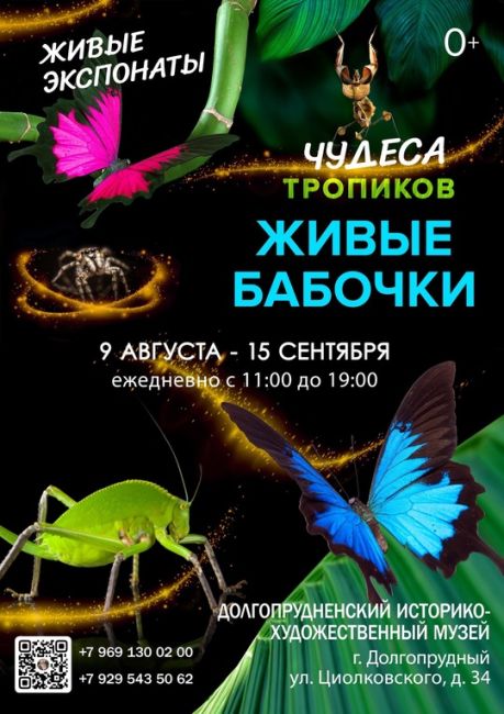 ИЩЕМ СОТРУДНИКОВ НА ВЫСТАВКУ ЖИВЫХ БАБОЧЕК!  🦋 Вакансия Администратор-экскурсовод
Кто наш идеальный..