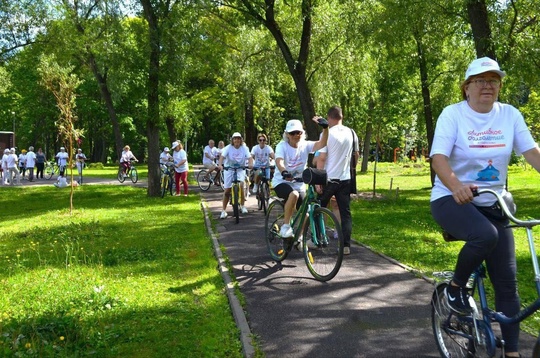 🚴🏼‍♀️ Реутовчане приняли участие в велофестивале  📍 В парке «Фабричный пруд» прошел яркий..