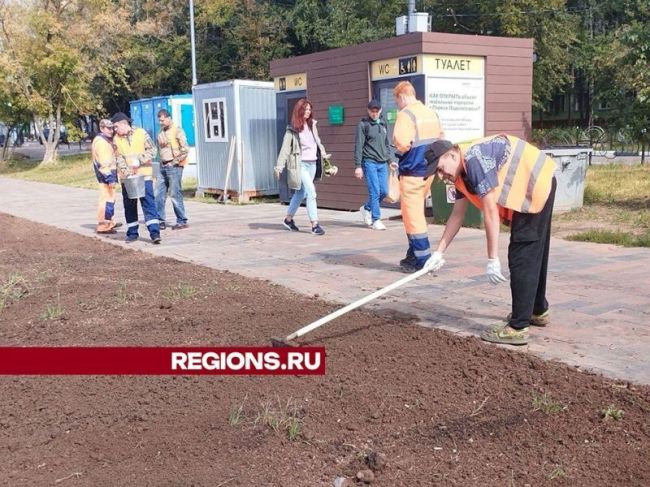 На набережной реки Серебрянки в Пушкино обновили и подсеяли газоны  Газоны засеяли новой травой..