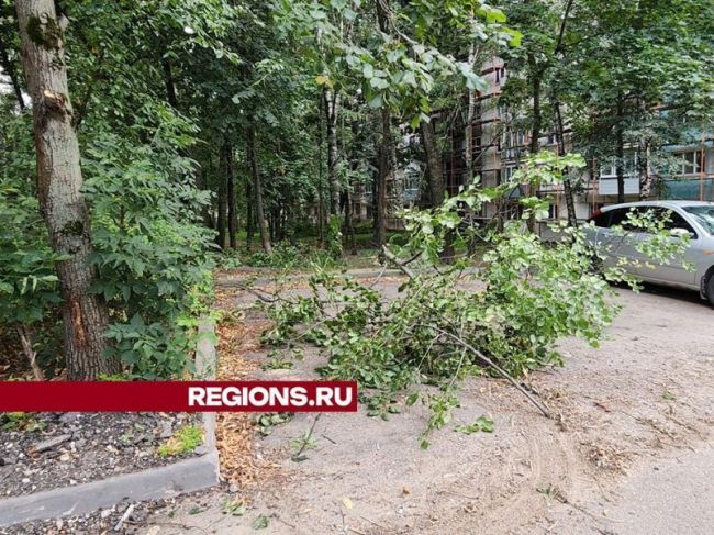 Опасные и сухие ветви деревьев возле жилых домов удалили в Пушкино  В микрорайоне Дзержинец подмосковного..