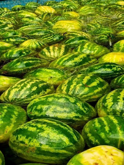 🍉Арбузное настроение в..