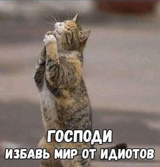 Некоторое быдло вообще нельзя выпускать к людям, тем более на..