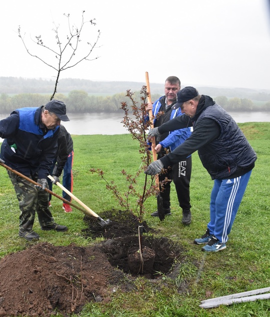 🌳🌿🌳 Коломна вошла в топ-3 городских округов по количеству посаженных деревьев  В Подмосковье с начала..