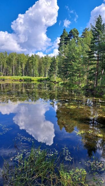 Тучи сгустились над Богородским😉
Всем хорошего..