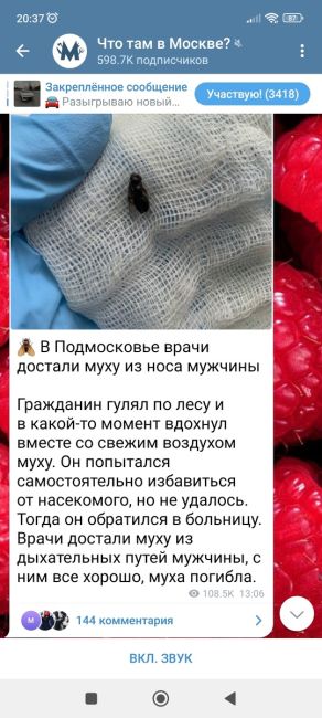 😳Медики Видновской больницы вытащили из носа 51-летнего мужчины живую муху. Насекомое попало в ноздрю, когда..