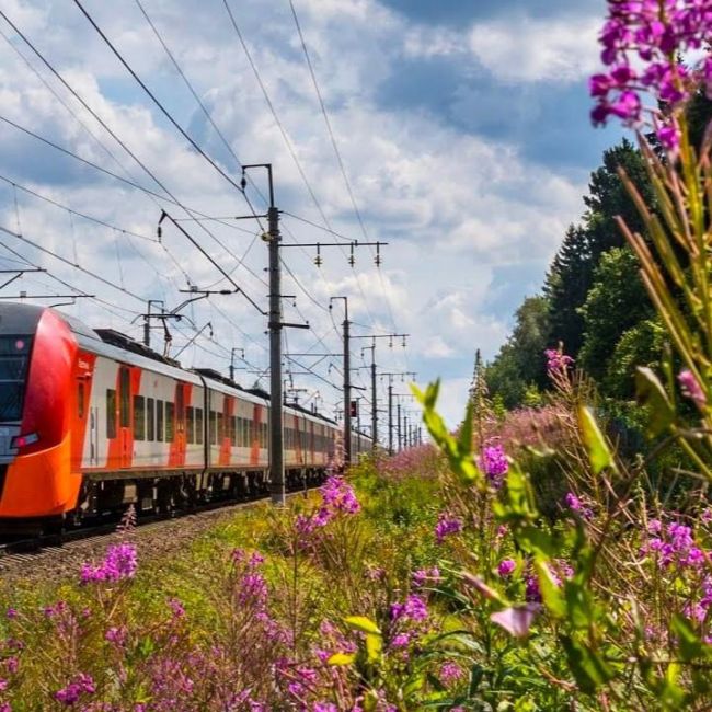 🛤 Дорогие электростальцы, пожалуйста, внимательно и осторожно переходите железнодорожные пути!  Наиболее..