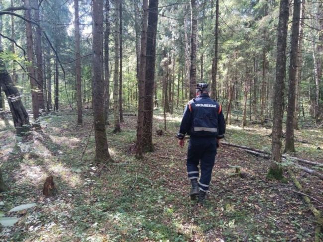 🍄‍Спасатели вывели из леса потерявшихся грибников.  В районе деревни Жилино во время сбора грибов..