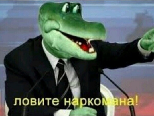 🐊Неожиданно в Крюково нашли того самого крокодила.  Вспомнились старые мультфильмы про Чебурашку и... «Гена..