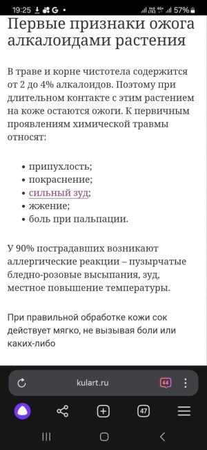 В Одинцовском округе погибла маленькая девочка, пожевавшая неизвестное растение 😧  Об этом рассказал «Mash»...