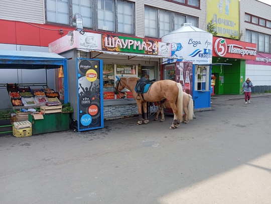 Утро воскресенье Электросталь Торговый центр..