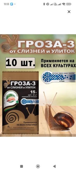 Два дня назад ЭТО обнаружила у себя на кухне ( частный дом),а вчера такую же нашла у теплицы. Ребята, кто-нибудь..