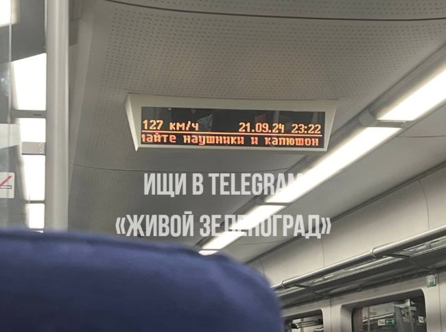 🚉Наши электрички — настоящие труженицы!  Быстрее них только самолёты и поезда «Сапсан».  ТГК Живой..