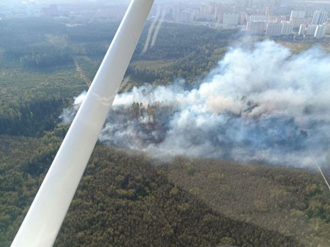 За сутки в Московской области обнаружено и ликвидировано 16 пожаров  Комитет лесного хозяйства Подмосковья..