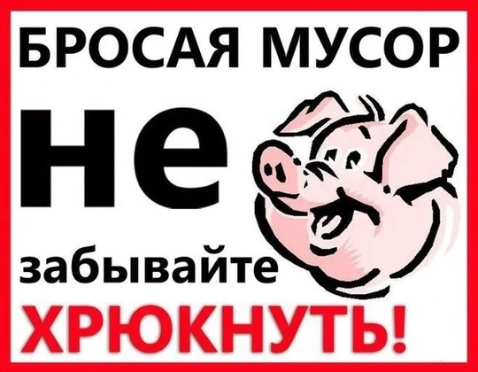 И опять мусор на остановке "Школа" в Опалихе. Почему-то опять не смогли люди довезти пакет до контейнера...