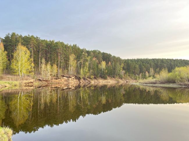 Красота природы 🌲🌳🌿  Фото: Наталья..