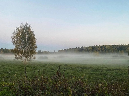 Утро на Сходне 🙌🏼  Фото - Мария..