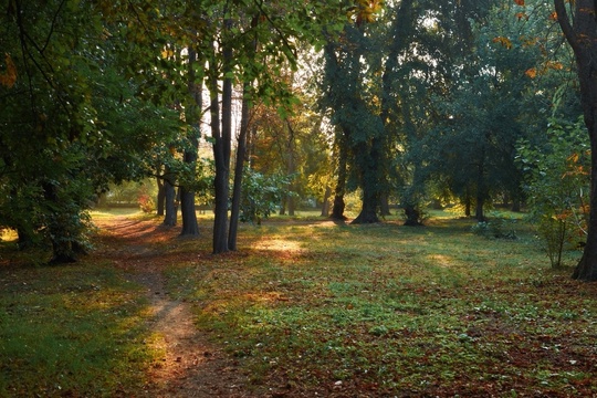 Дорогие соратники по борьбе за целостность Нижнего Комитетского Леса! 🌳  Хочу сообщить вам важную новость...