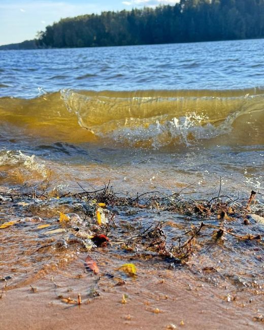 Осень на Истринском водохранилище..