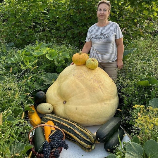 Жительница Можайска вырастила тыкву весом более 200 килограммов 🎃  Наталья Смирнова поставила перед собой..