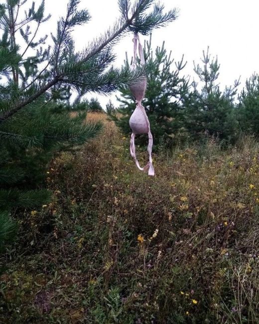 На Авангарде как всегда жизнь бьет..