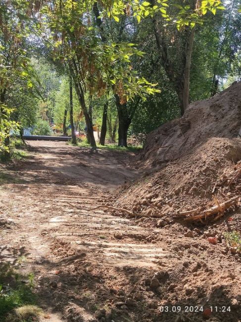 На ул. Советской пилят молодые..