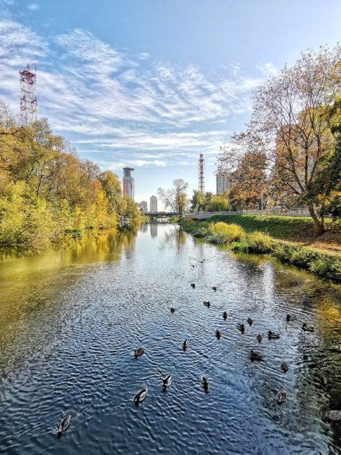 Золотая осень🍂  В этом году сентябрь..