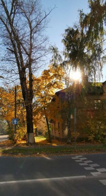 Доброго дня! 🍁🍂
Бабье лето заглянет в столичный регион на три дня. Научный руководитель Гидрометцентра..