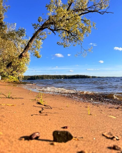 Осень на Истринском водохранилище..