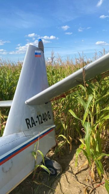 Самолет Ан-2 разбился в подмосковной Рузе.  Самолет, по предварительным данным, совершал тренировочный полет..