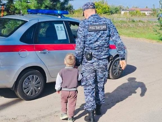 🚨🚨🚨 В Коломне родители потеряли трехлетнего малыша во время прогулки. Инцидент произошел в парке Мира...