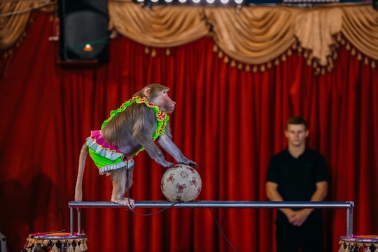 Финальные встречи самые тёплые и душевные! ❤ 
Серпухов, сохраняйте расписание заключительных представлений..