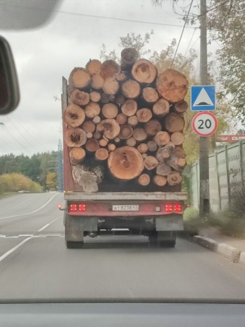 БАЛАШИХА - В ЧИСЛЕ САМЫХ ЗЕЛЁНЫХ ГОРОДОВ РОССИИ 🌳
Балашиха вошла в пятерку лидеров климатической повестки..