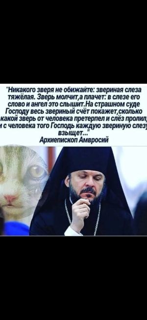 «Человек» который оставил щенков в электричке чем ты думал вообще? Нашел их в промежутке с 15:45-16:00. Нашел их в 7..