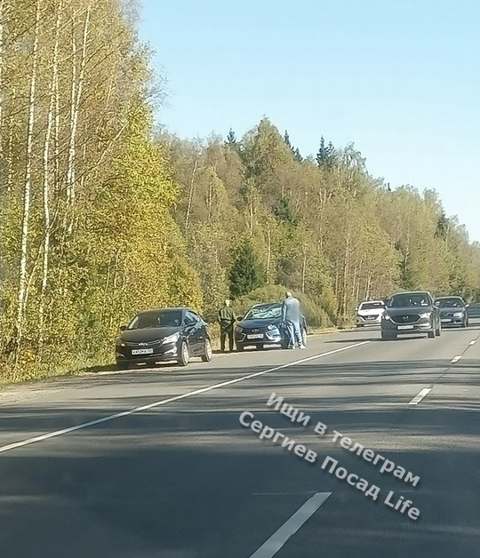 Сохатый попал под машину на трассе А-108 (бетонка) в районе Скоропусковского..