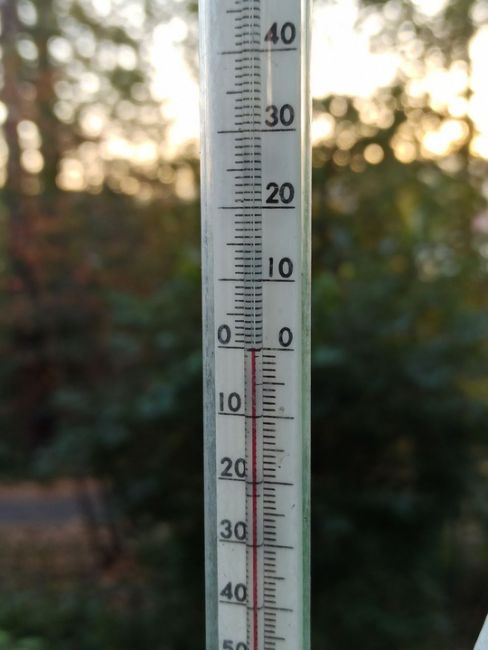 🍁🌡 Сегодня в Коломне впервые с начала осени температура опустилась до 0°С.  Фото: Елена СОМОВА/Медиахолдинг..