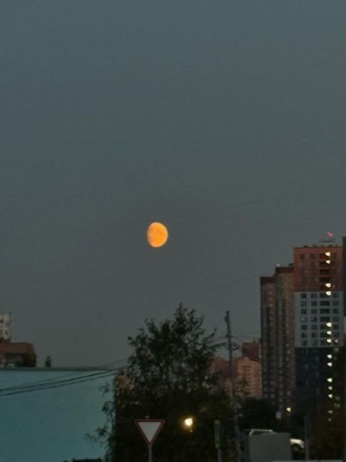 Прекрасная Луна с ул.Марии Рубцовой 🌚  Фото -..