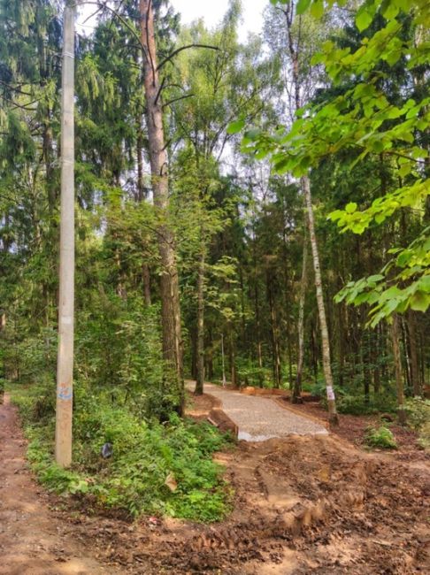 Благоустройство Опалиховского лесопарка в разгаре  Фото: Анна..